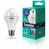 Фото товара - Camelion LED25-A65/865/E27 (Эл.лампа светодиодная 25Вт 220В) [1/10/100?] №1