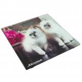 Аксинья, КС-6003, Весы напольные, электронные, до 180 кг, 28*28 см, батарейки 2*ААА, рисунок [1/10]