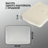 Фото товара - Следопыт Контейнер многоуровневый для заморозки и хранения RUNIS, 2 яруса, 300х205х80 мм, цв. сливочный/2/ [2?] №3
